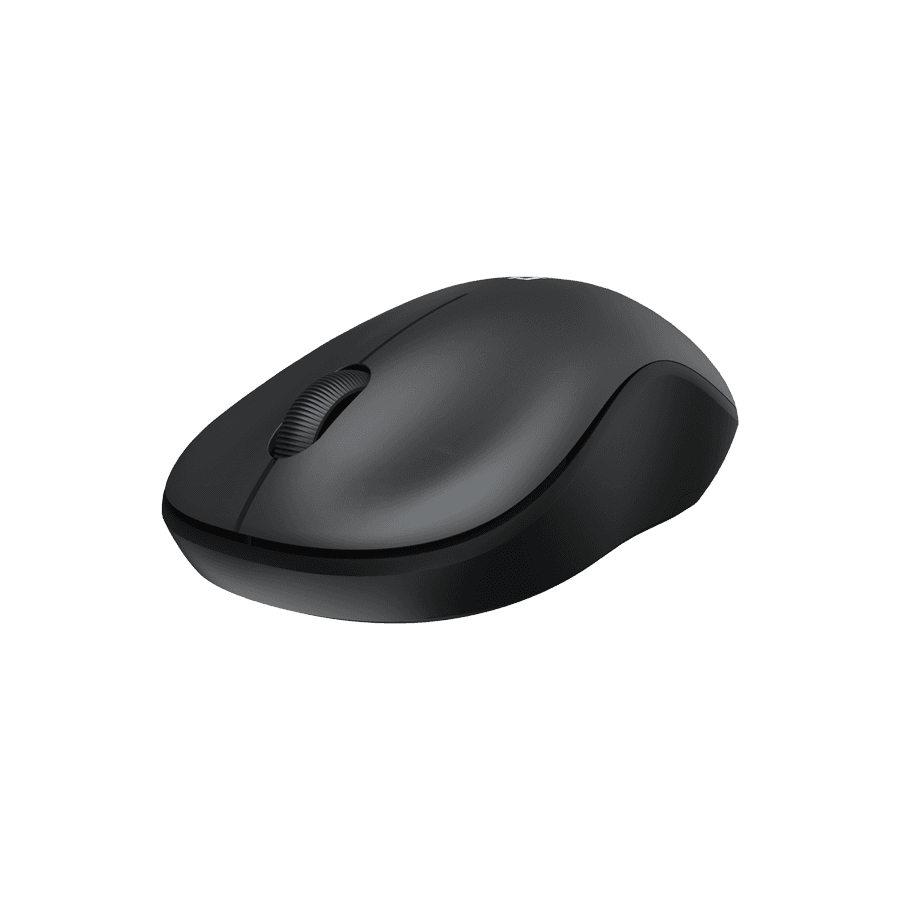 Dareu LM106G 2.4G Wireless Office Mouse (With Alkaline battery)