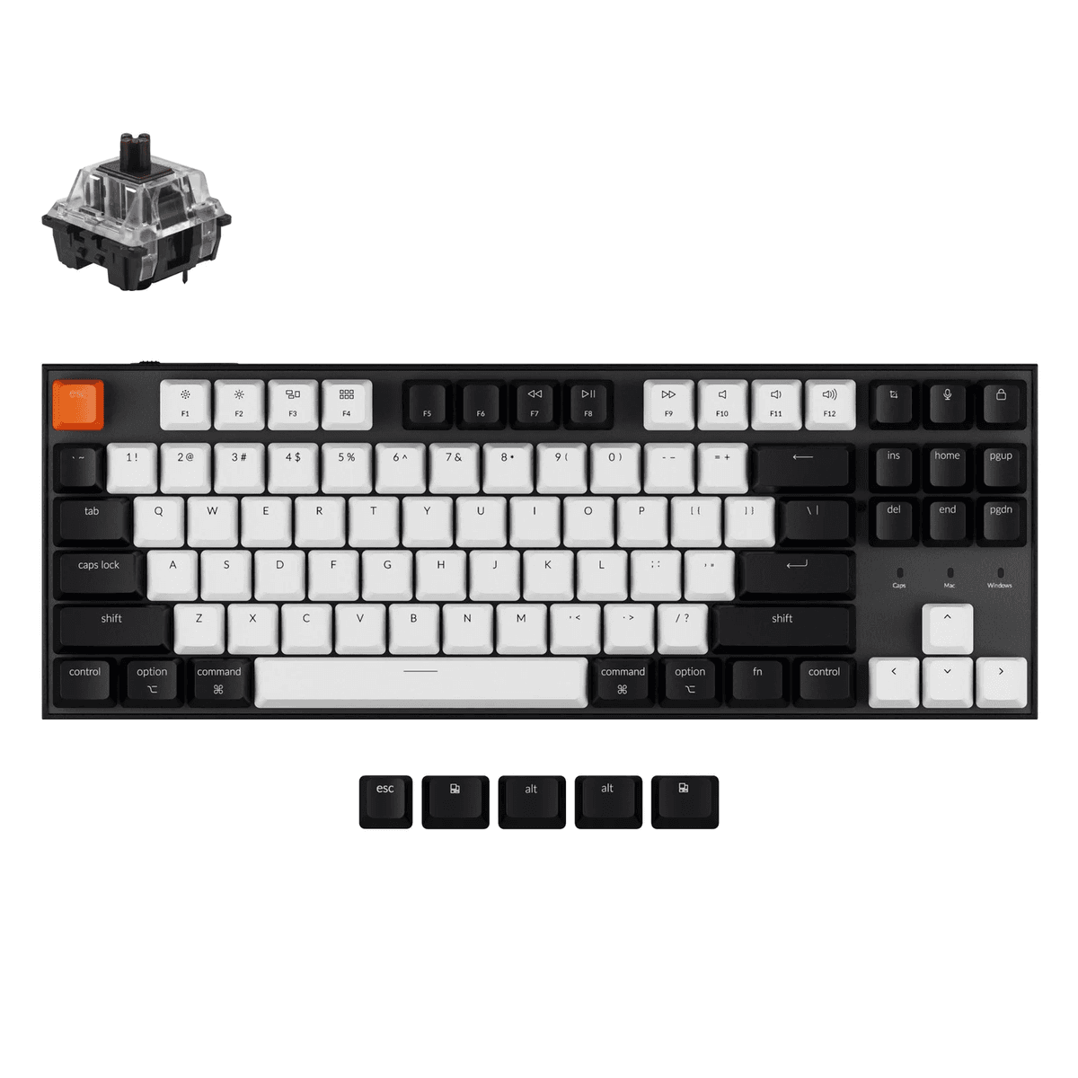 (Stock Out) Keychron C1 TKL Wired Mechanical Keyboard