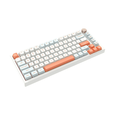VGN N75 Pro Wireless RGB Mechanical Keyboard (Steam Wave Pro Switch)_img_1