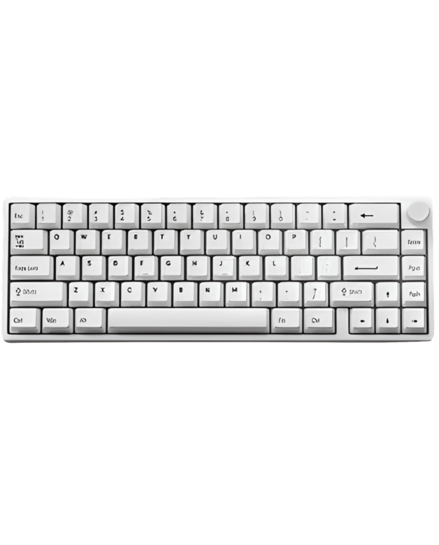 EWEADN C65 V2 Wired Gasket hotswappable mechanical keyboard
